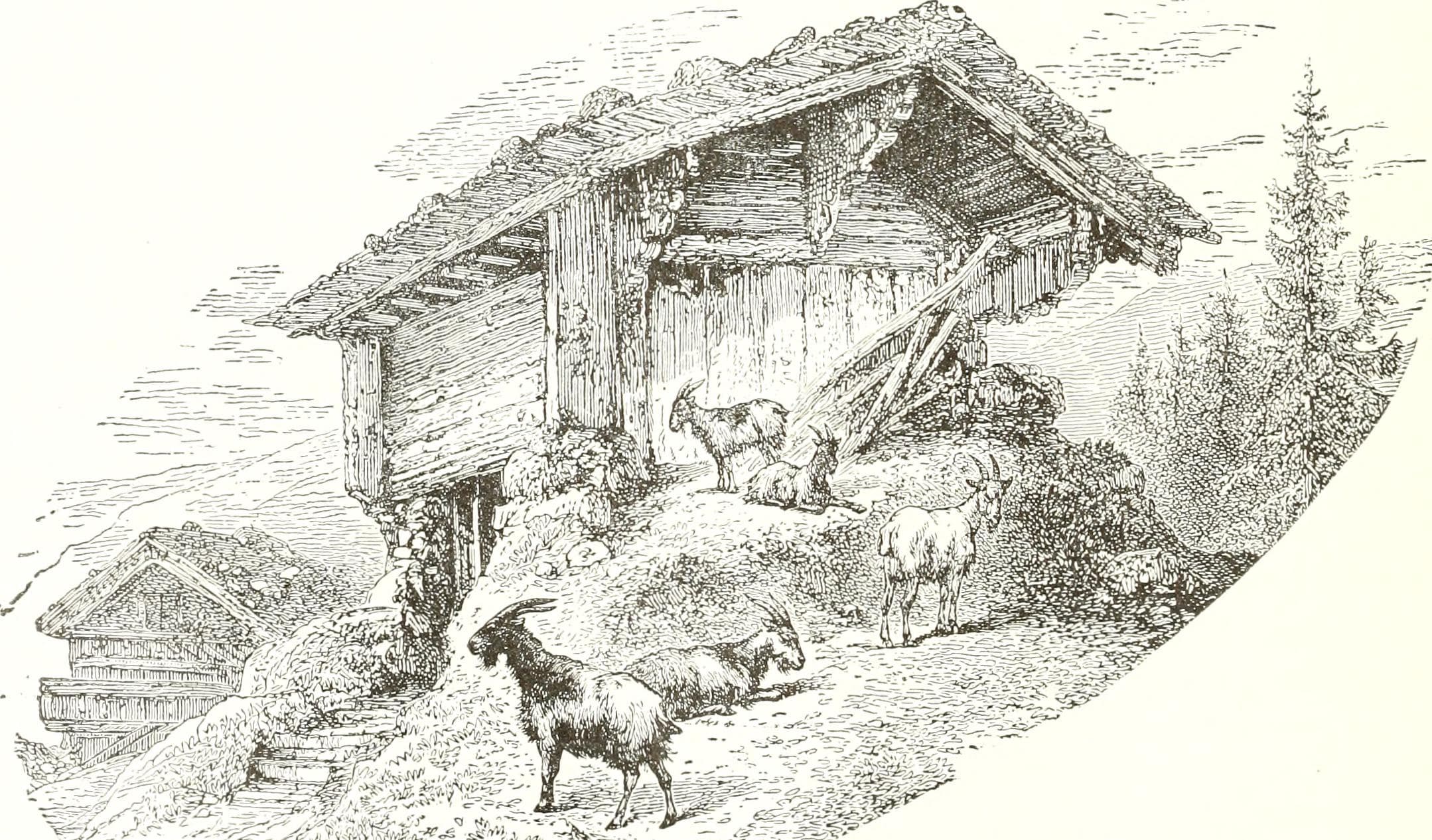 Resting spot with a view