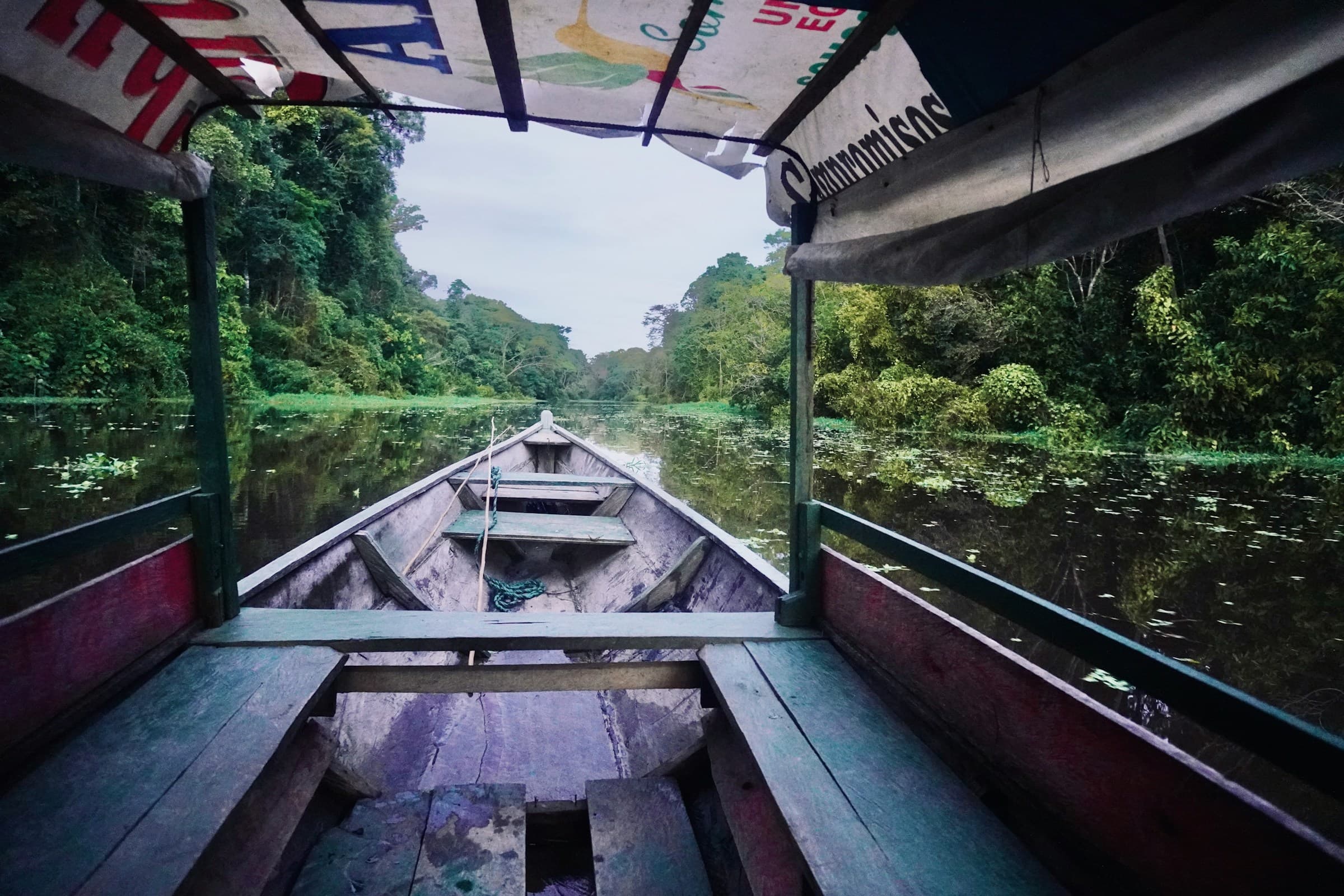 Paddling the Amazon Backwaters