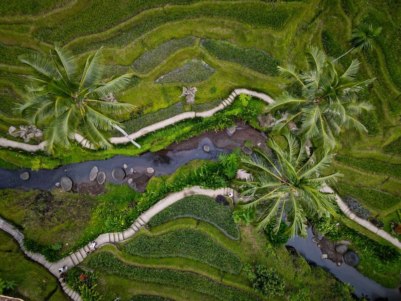 Bali: Temples & Rice Terraces
