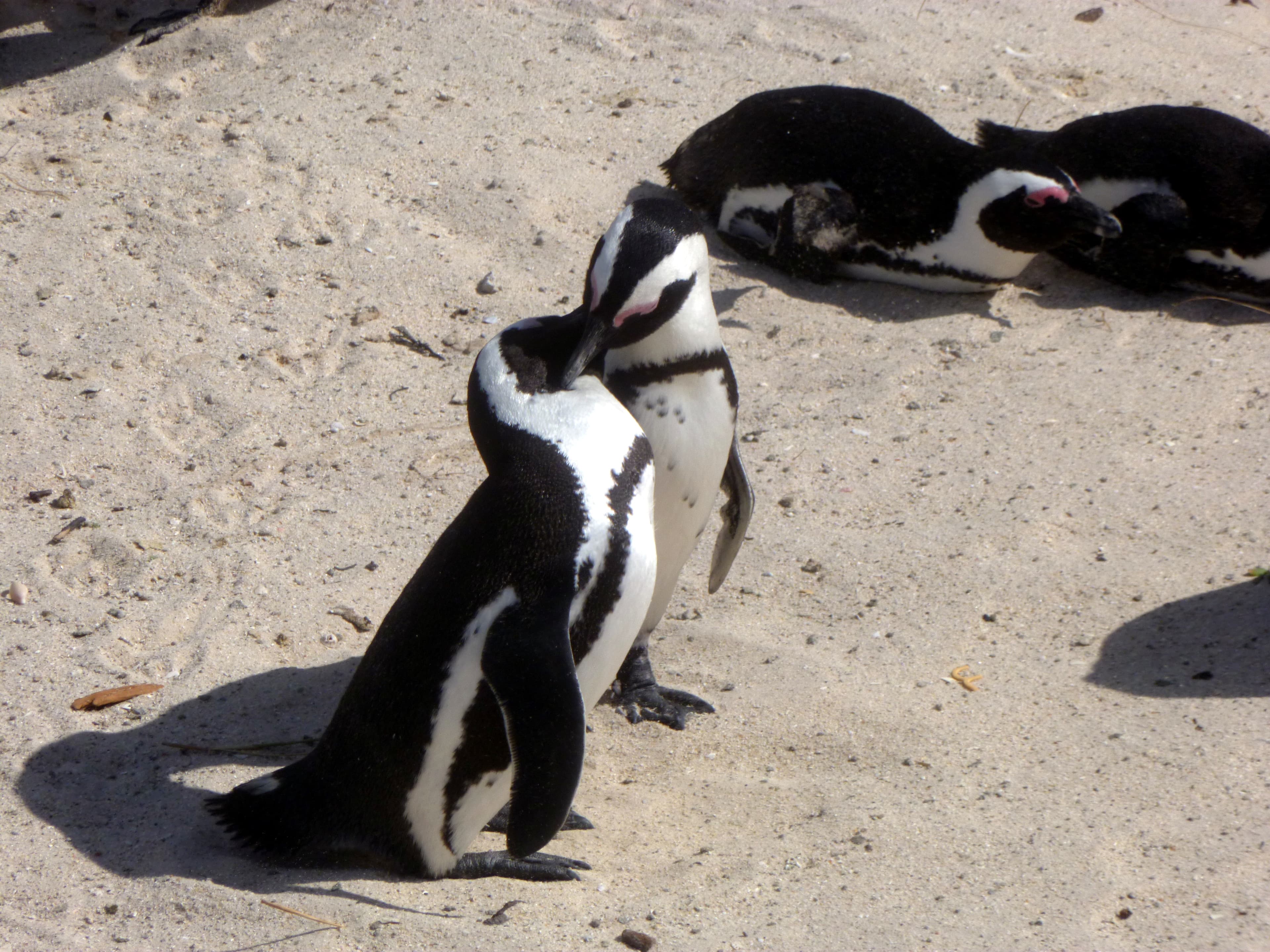 Resting spot with a view