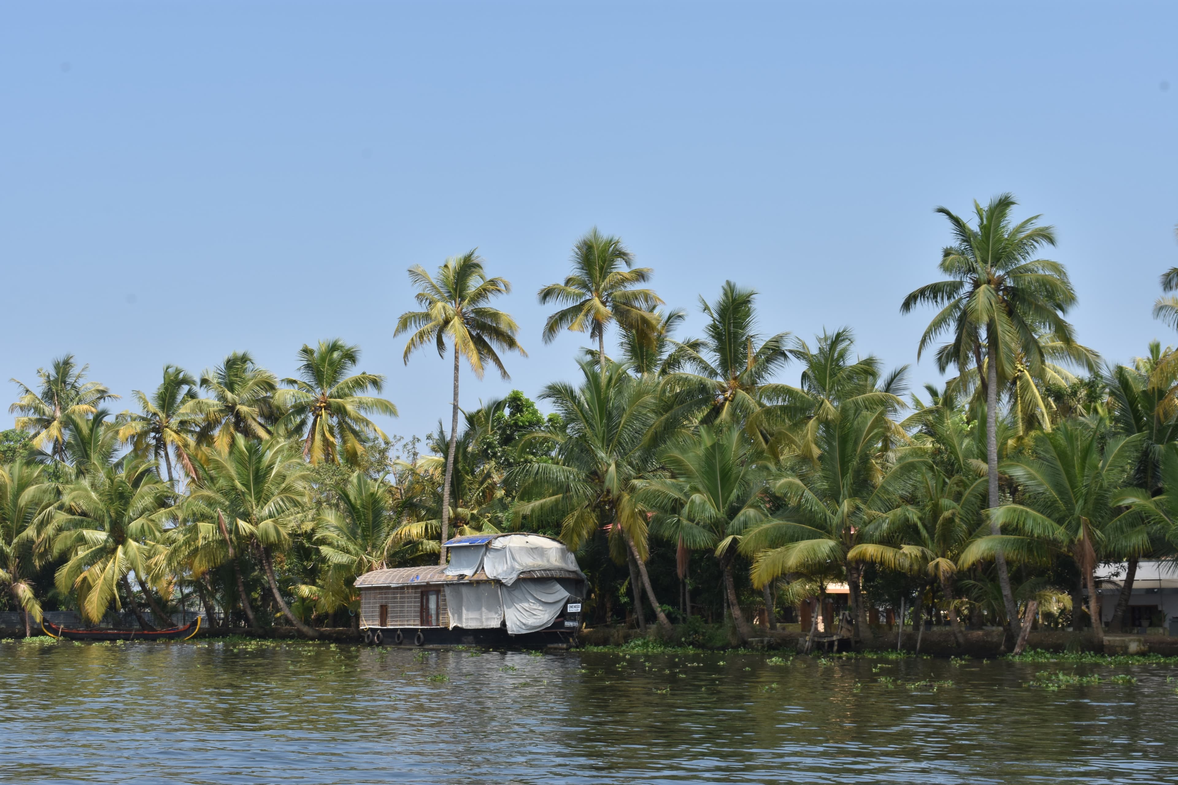 Kerala houseboat on calm water