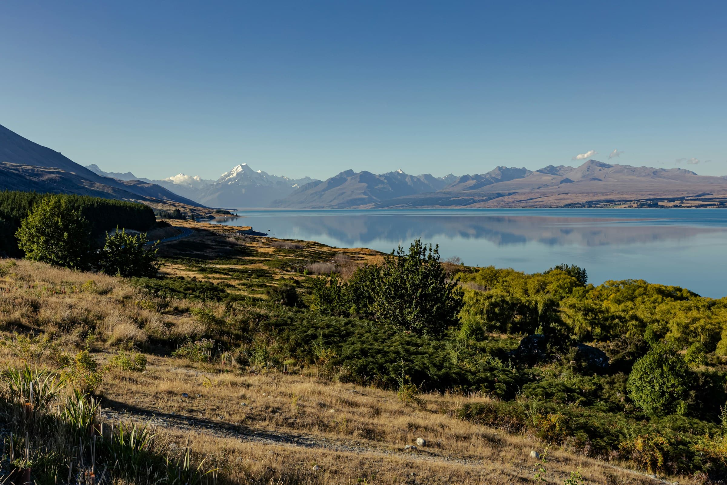 Road Tripping New Zealand’s South Island