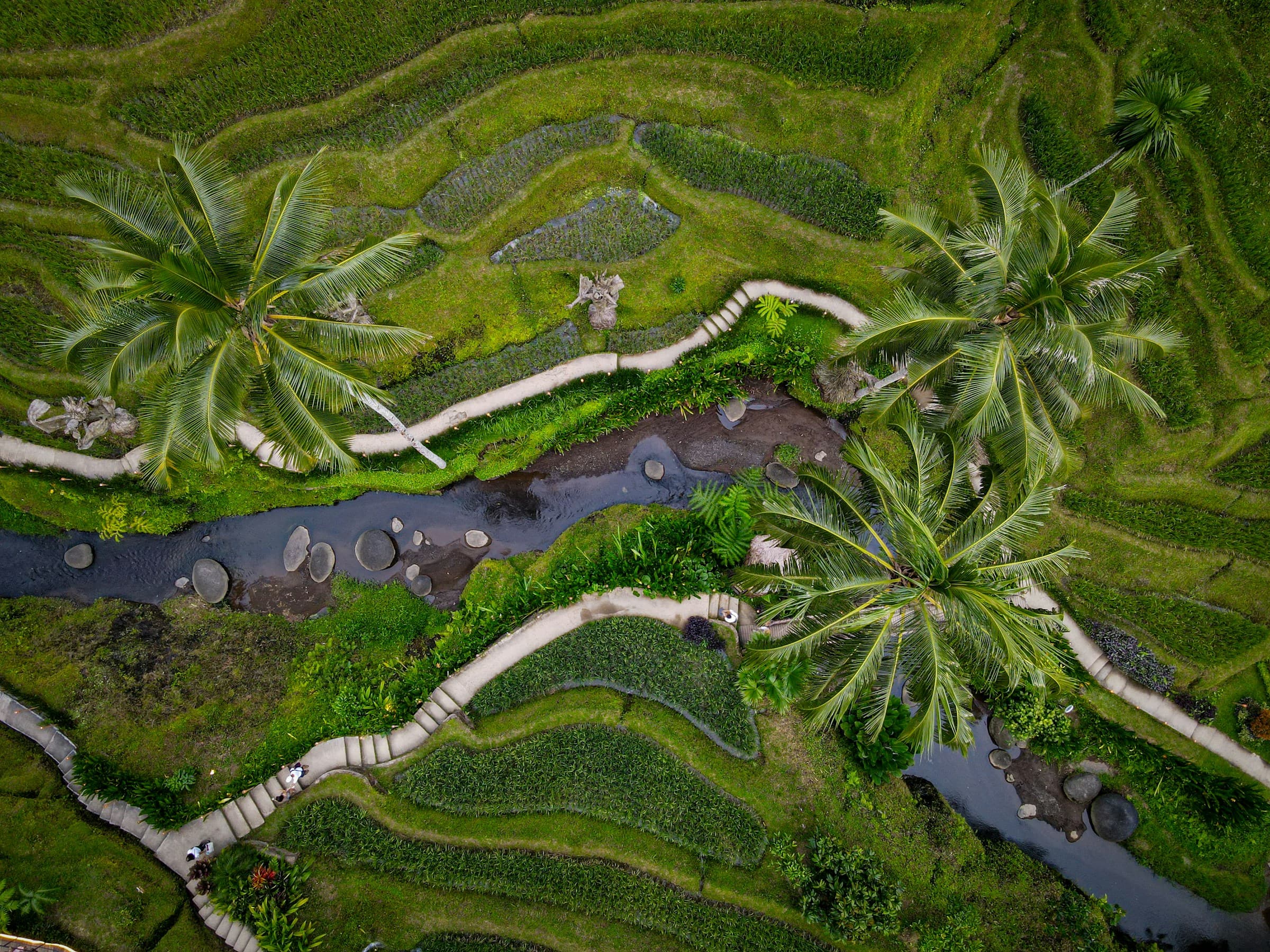 Bali: Temples & Rice Terraces