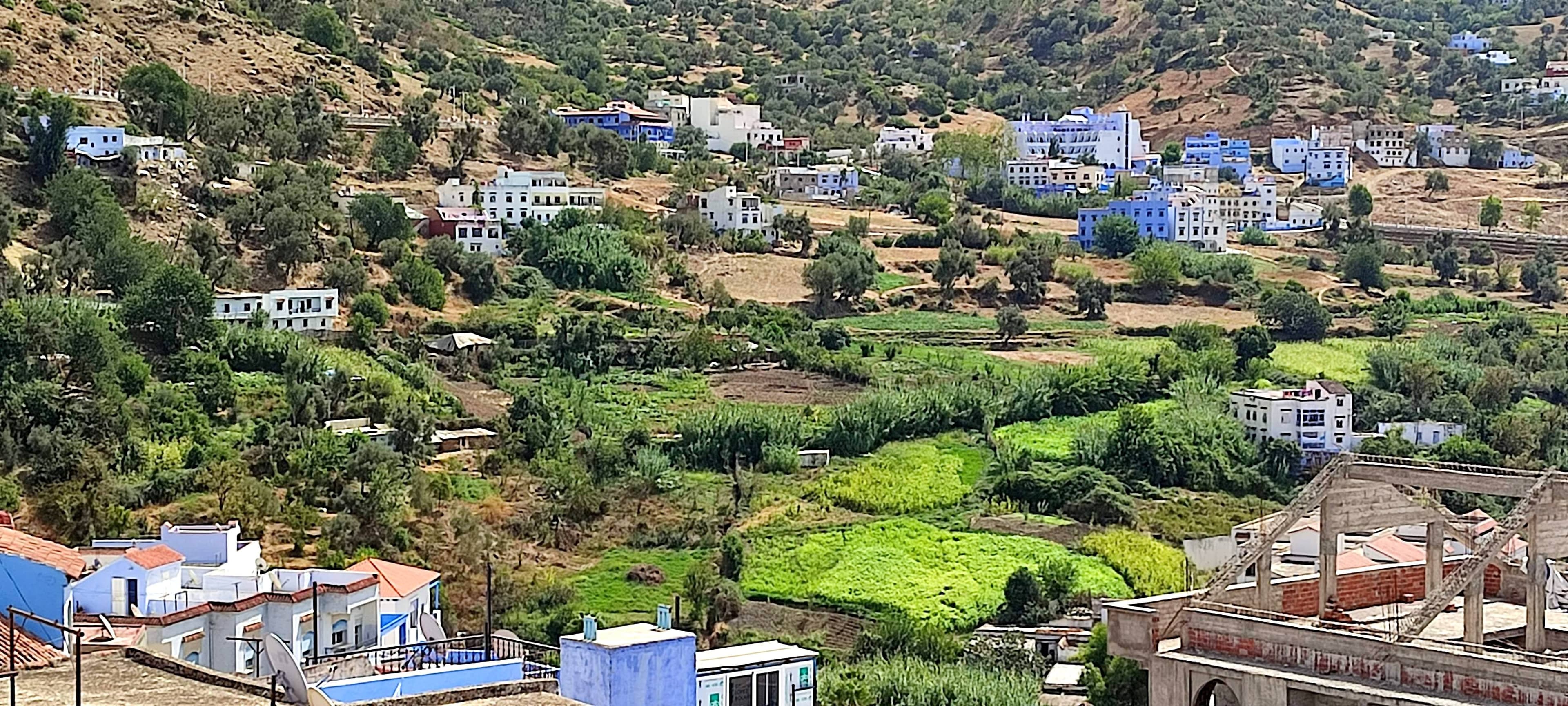 Resting spot with a view