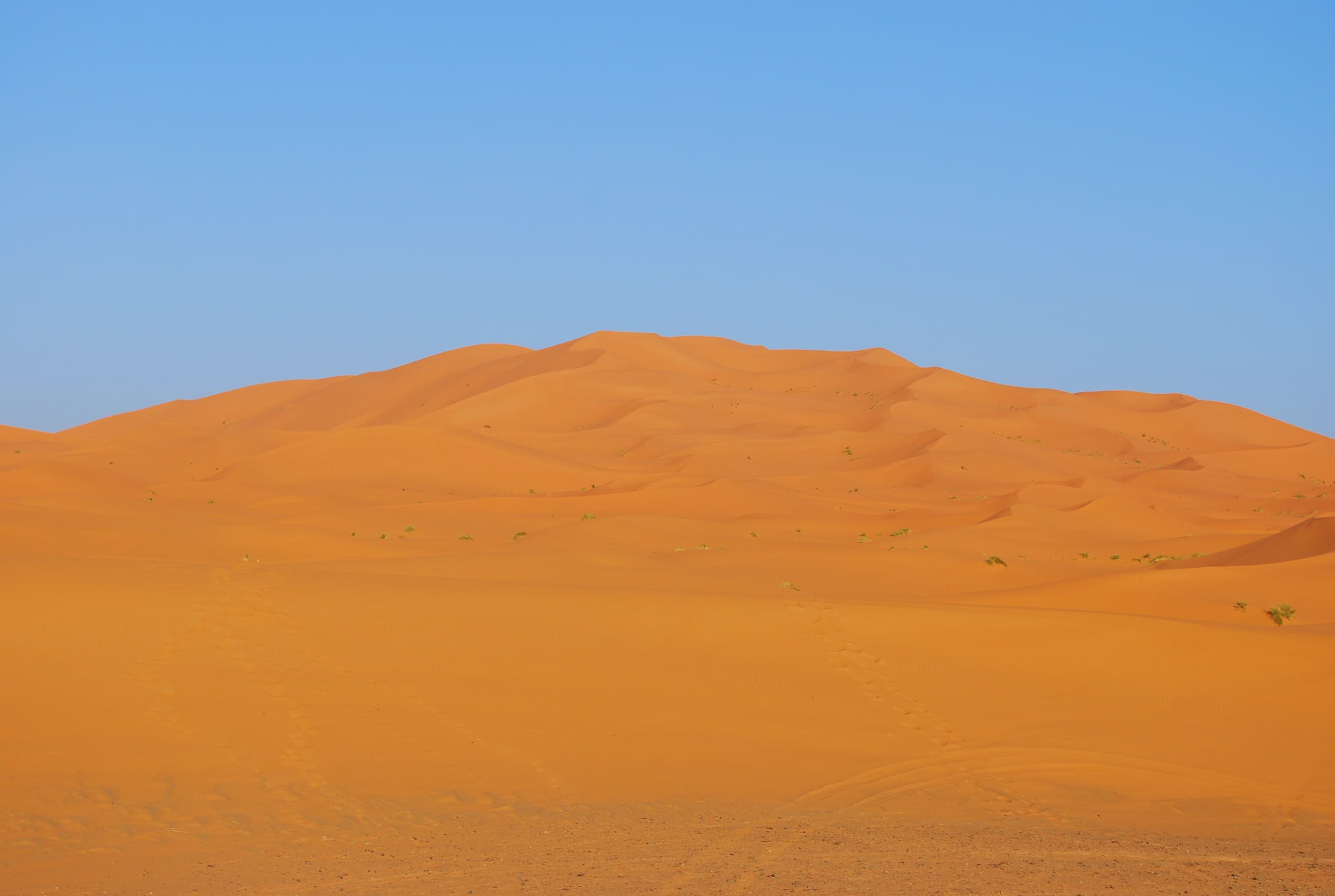 Footprints along a dune ridge